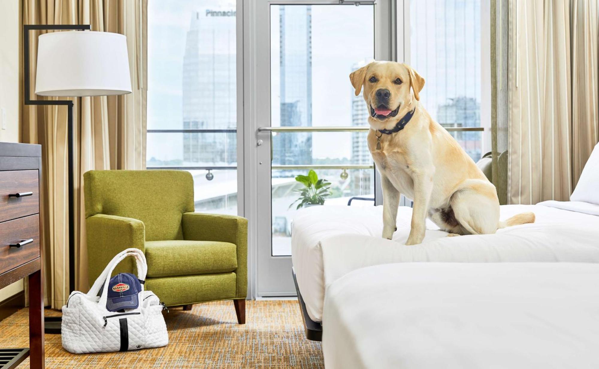 Embassy Suites By Hilton Nashville Downtown Exteriör bild